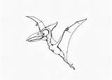 Coloring Flying Dinosaurs Pages sketch template