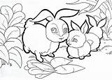 Mewarnai Sketsa Sd Binatang Mewarna Hewan Kelas Terbaru Paud Kumpulan Pemandangan Diwarnai Lucu Kelinci Menarik Boleh Menggambar sketch template