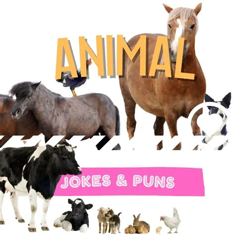 animal jokes  puns   love