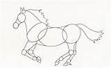Drawing Horse Step Easy Motion Sketch Sketches Draw Drawings Getdrawings Circles Structure Wordpress Pencil sketch template
