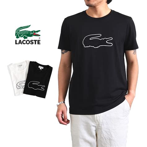 golden state lacoste lacoste big crocodile logo t shirt