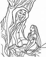 Coloring Pocahontas Willow Grandmother Pages Tree Coloring4free Getcolorings sketch template