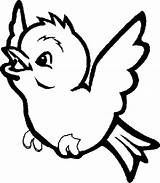 Bird Coloring Pages Cute Animal sketch template