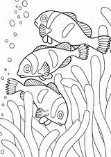 Coloring Pages Fish Ocean Animal Easy Printable Print Sea Animals Colouring Kids Sheets Tulamama sketch template
