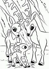 Coloring Reindeer Rudolph Pages Nosed Red Parents Printable Color Head Baby Print Clarice Getcolorings Rocks sketch template