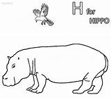 Hippo Coloring Pages Pygmy Cool2bkids Printable sketch template