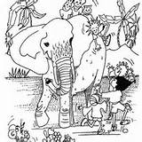 Desenho Elefante Africano Tudodesenhos sketch template