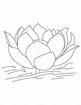 Lotus Bestcoloringpagesforkids Coloringhome Enregistrée sketch template