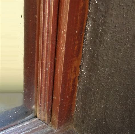 home dzine home diy seal gaps  wooden windows  doors