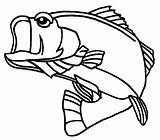 Bass Coloring Fish Georgia Largemouth Pages Mouth Color Large Drawing Saltwater Printable Getdrawings Place Getcolorings Tocolor sketch template