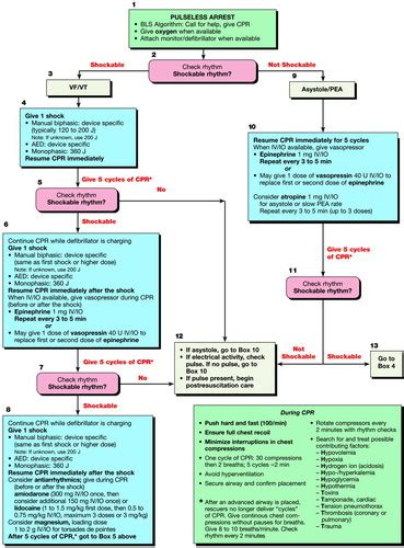 Part 7 2 Management Of Cardiac Arrest Circulation