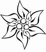 Edelweiss Flower Coloring Google Search Fleur Drawing Pages Dessin Tattoo Fleurs Montagne Savoir Plus Getdrawings sketch template