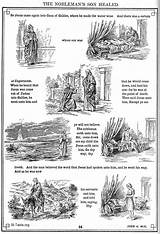 Son Jesus Nobleman Healed Coloring Wept Printable Pages Bible Lazarus Story sketch template