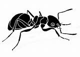 Ant Coloring Printable Large sketch template