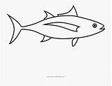 Tuna Pomacentridae sketch template