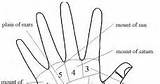 Palmistry Learn Hindi sketch template