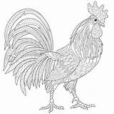 Rooster Drawing Coloring Fighting Getdrawings sketch template