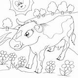 Cow Flowers Coloring Field Seipp Dave Drawn sketch template