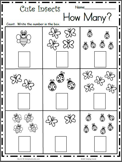 insect worksheet  preschool