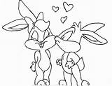 Conejo Daffy Carrot Lola Looney Conejitos Tunes Toons Draw Páginas sketch template