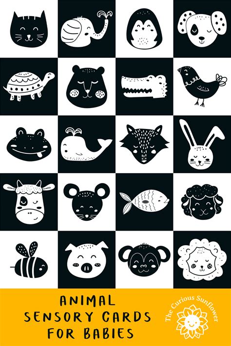 animals high contrast baby cards  black  white printable