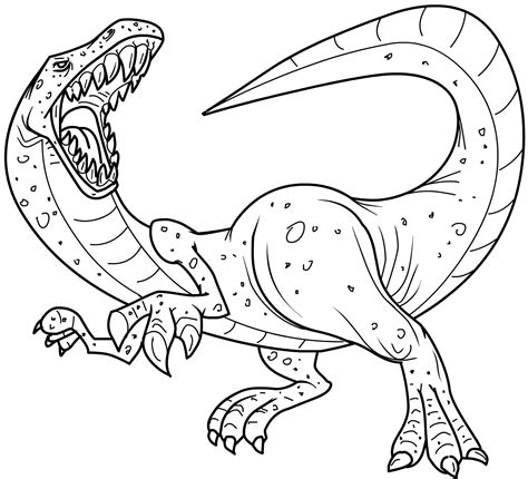 printable dinosaur coloring pages  kids