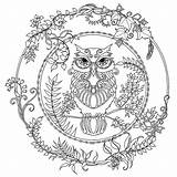 Johanna Basford Voor Senioren Kleurplaten Coloring Pages Owl Adult Drawing sketch template