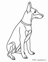 Doberman Coloring Pages Dog Pinscher Labrador Retriever Puppy Drawing Printable Kids Colouring Fluffy Cute Hellokids Color Animal Face Getcolorings Drawings sketch template