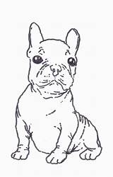 Bulldog Coloring French Pages Terrier Boston Printable Color West Highland Print Puppy Kids Getcolorings Library Nice Clipart Comments Popular Coloringhome sketch template
