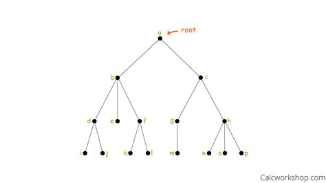 tree graph how to w 11 step by step examples