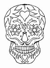Coloring Skull Sugar Pages Adults Printable Popular sketch template