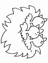 Colorat Bojanke Nido Animalute Locuinte Animale Planse Chicks Vesele Proljetne Svijet Galinhas Galos Desene Animali Lion3 Lions Pulcino Pollito Printanje sketch template
