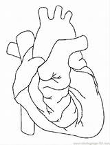 Getdrawings Broken Leg Coloring Pages Heart Designs sketch template