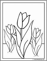 Tulip Flower Coloring Pages Spring Flowers Pdf Sheet Getdrawings Colorwithfuzzy sketch template