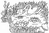 Lac Cygne Cigni Cisnes Swan Cygnes Gratuit Colorier Labudovi Coloriages Crtež Crtezi Cisne sketch template