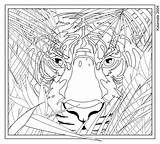 Coloring Hard Pages Animal Boys Printable Library Clipart Difficult sketch template