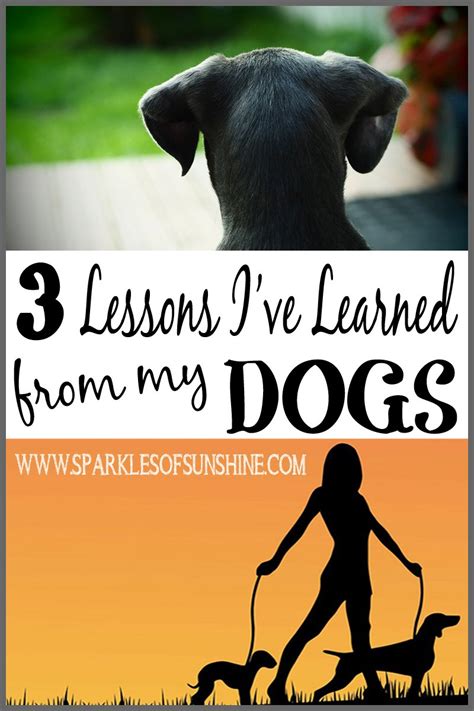 lessons ive learned   dogs sparkles  sunshine