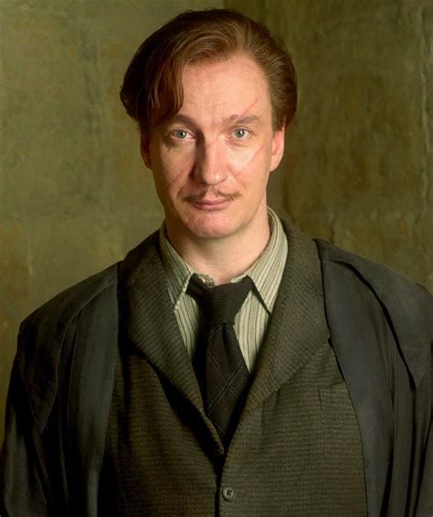 portrait  remus lupin harry potter fan zone