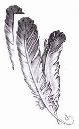 Choose Board Feather Eagle Drawing sketch template