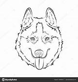 Husky Face Drawing Dog Getdrawings Sketch sketch template