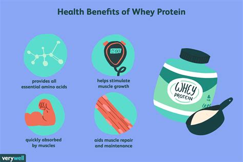 Advantages Of Whey Protein After Workout Eoua Blog