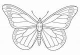 Butterfly Monarch Coloring Printable Pages Categories sketch template