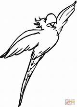 Cockatoo Coloring Flying Pages sketch template
