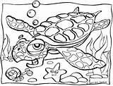 Coloring Sea Turtle Pages Color Animals Printable Sheet Print Town sketch template