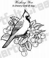 Coloring Bird Pages Classycardsnsuch Cardinal Precut Cheery Heartfelt Creations Set sketch template