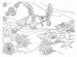 Coloring Reef Pages Barrier Great Drawing Coral Ocean Coloriage Google Color Christmas Depression Dessin Printable Getdrawings Book Underwater Turtle Search sketch template