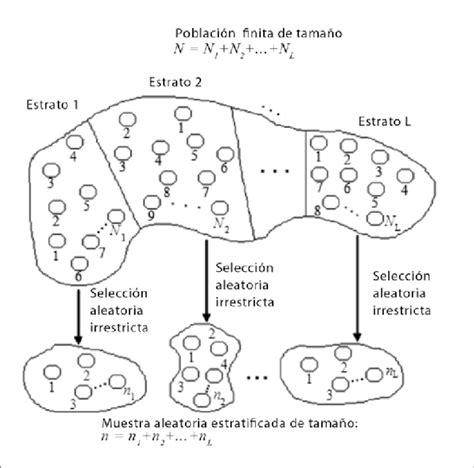 1 Esquema De Un Muestreo Aleatorio Estratificado Download Scientific