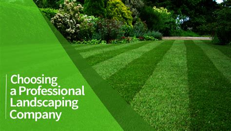 choosing  professional landscaping company tb landscaping