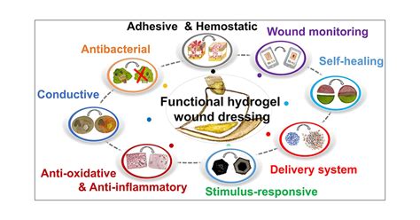 functional hydrogels  wound dressing  enhance wound healing acs