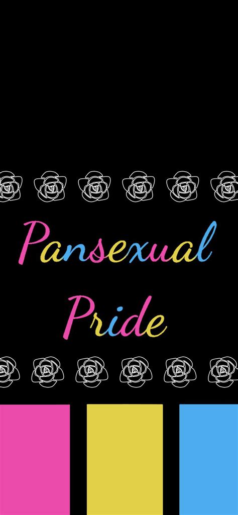 pansexual pride lock or home wallpaper pansexual